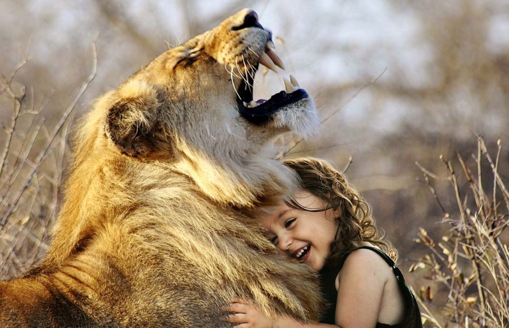 conoce tus emociones